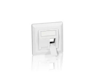 Equip 2-Port German Faceplate