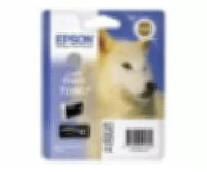 Epson Husky rašalo kasetė Light Black T096740