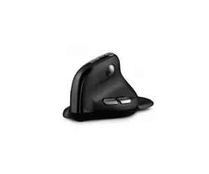 Urban Factory ERGO Max