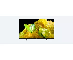 Sony BRAVIA XR50X90SAEP