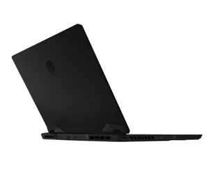 MSI Gaming GP66 12UH-204FR Vector