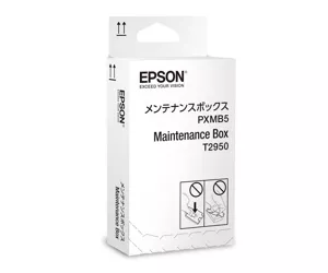 Epson C13T295000