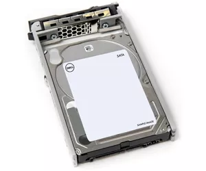 DELL 400-AEFD sisemine kõvaketas 2.5" 1 TB Jada ATA