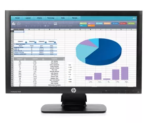 HP ProDisplay P202 20-inch Monitor