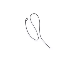 Fujitsu Pen tether