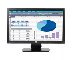 HP ProDisplay P202