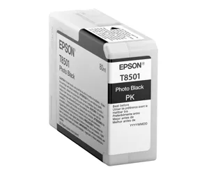 Epson T850100