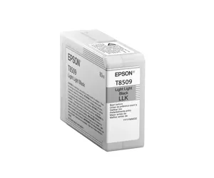Epson T850900