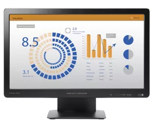 HP ProDisplay P202va