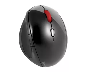 NGS EVO Ergo