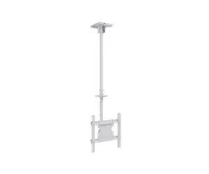 Multibrackets 2494