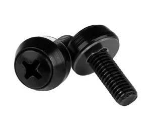 StarTech.com M6 x 12mm - Mounting Screws - 100 Pack, Black