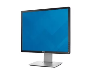 DELL Professional P1914S
