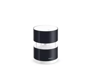 Netatmo Wind Gauge