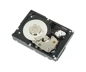 DELL 2TB NL-SAS