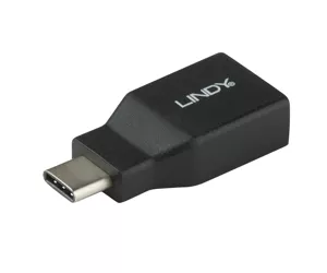 Lindy 41899