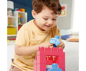 MEGA BLOKS First Builders Big Building Bag