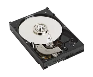 DELL 1.8TB SAS