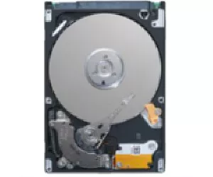 DELL 250GB SATA Hard Drive f/ PowerEdge R300 Rack/T300 FS 3.5" Serial ATA