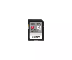 Sony 128GB SDXC
