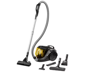 Rowenta X-TREM RO6984