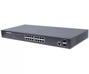 Intellinet 561341
