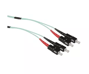ACT RL5301
