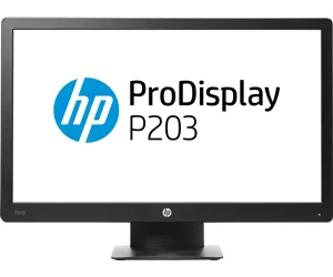 HP ProDisplay P203