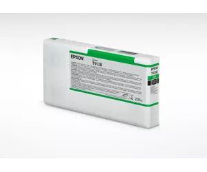 Epson T913B