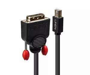 Lindy 1m Mini DisplayPort to DVI Adapter Cable
