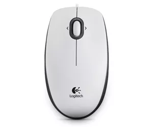 Logitech Mouse M100