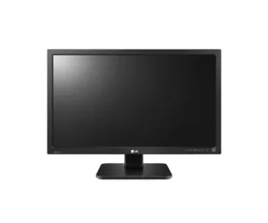 LG 24BK55WD-B