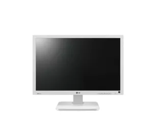 LG 22BK55WY-W