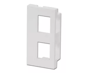 Lindy 4 face plate modules 2keystone