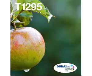 Epson Apple T129