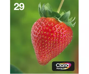 Epson Strawberry C13T29864511