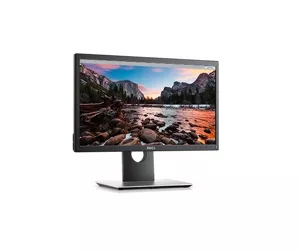 DELL P2017H