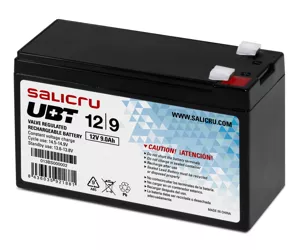 Salicru 013BS000002