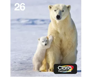 Epson Polar bear C13T26164511