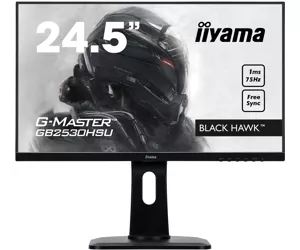 iiyama G-MASTER GB2530HSU-B1