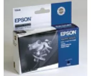 Epson Frog Inktcartridge T054840 mat