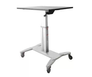 StarTech.com STSCART