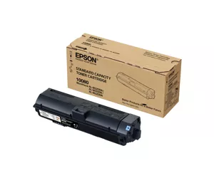 Epson C13S110080