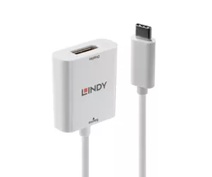 Lindy 43245