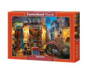 Castorland Our special place in Venice 3000 pcs