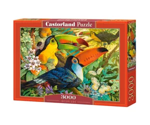 Castorland Interlude 3000 pcs