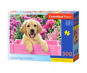 Castorland Labrador Puppy in Pink Box 300 pcs