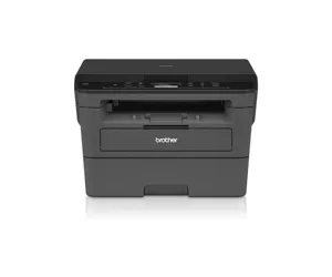 Brother DCP-L2510D