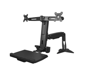 StarTech.com ARMSTSCP2