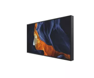 Philips Signage Solutions Дисплей H-Line 55BDL3002H/00